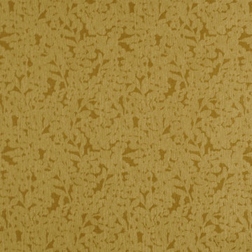 PARSONS WOODS | MARIGOLD