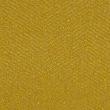 GALWAY | MUSTARD