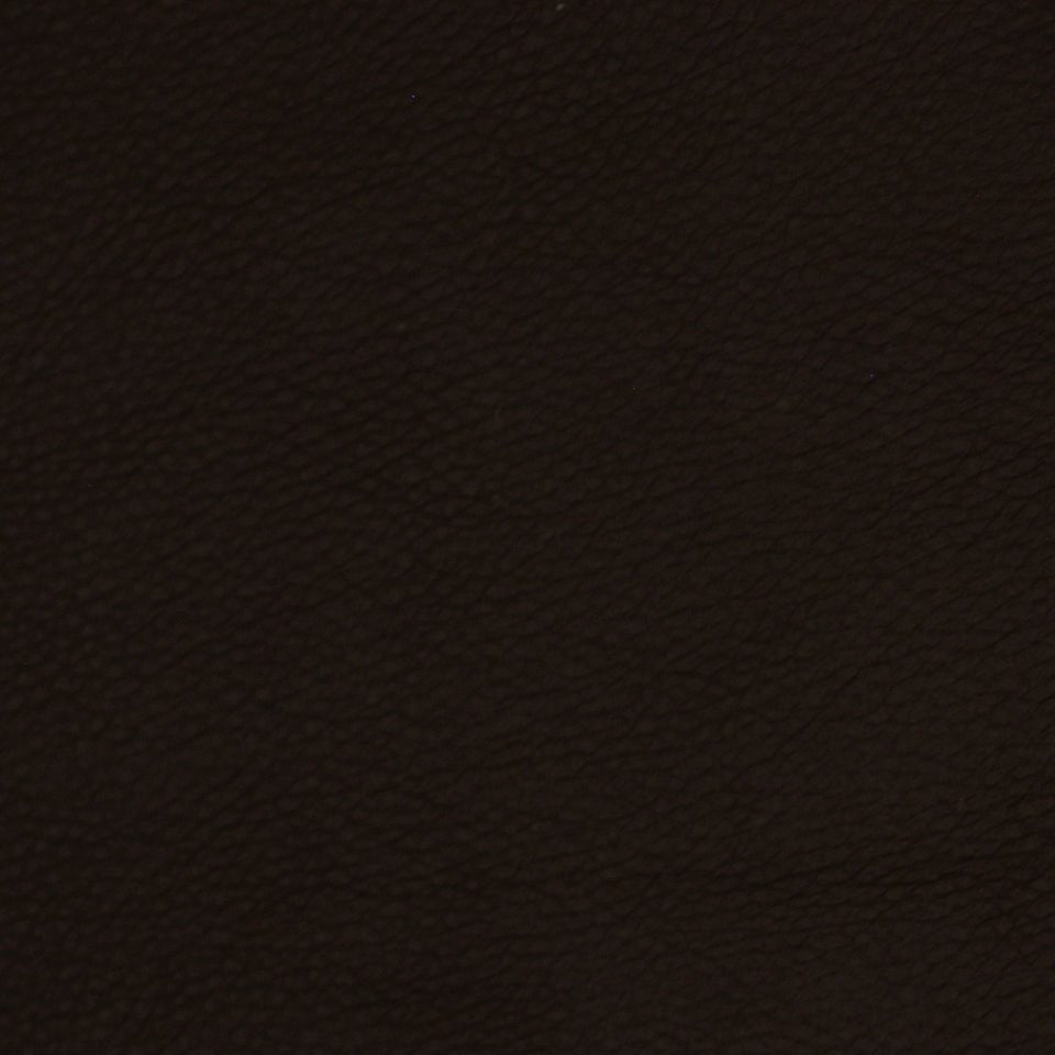 COLTIN | RAISIN - Upholstery - Fabric