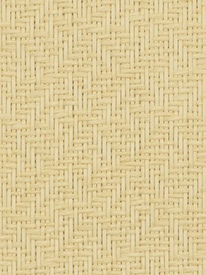 Mar A Lago | Stucco - Upholstery - Fabric