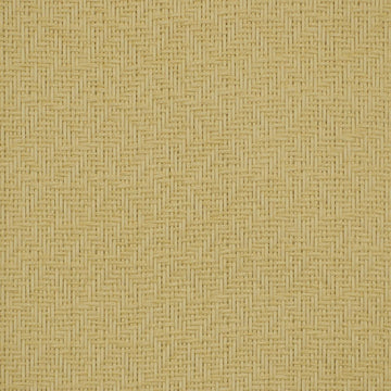 Mar A Lago | Stucco - Upholstery - Fabric