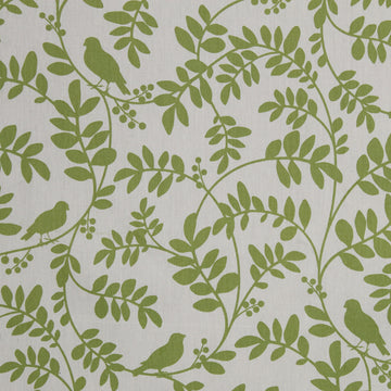 BOTANY FLORA | LEAF