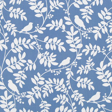 BOTANY FLORA | HYDRANGEA