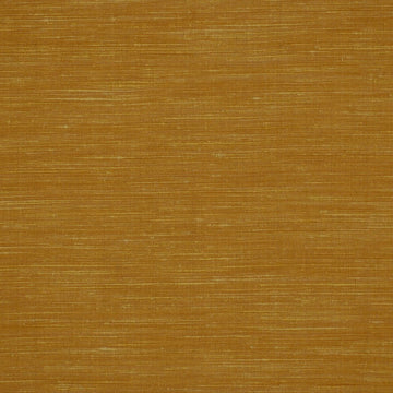 DALI | APRICOT - Multi-purpose