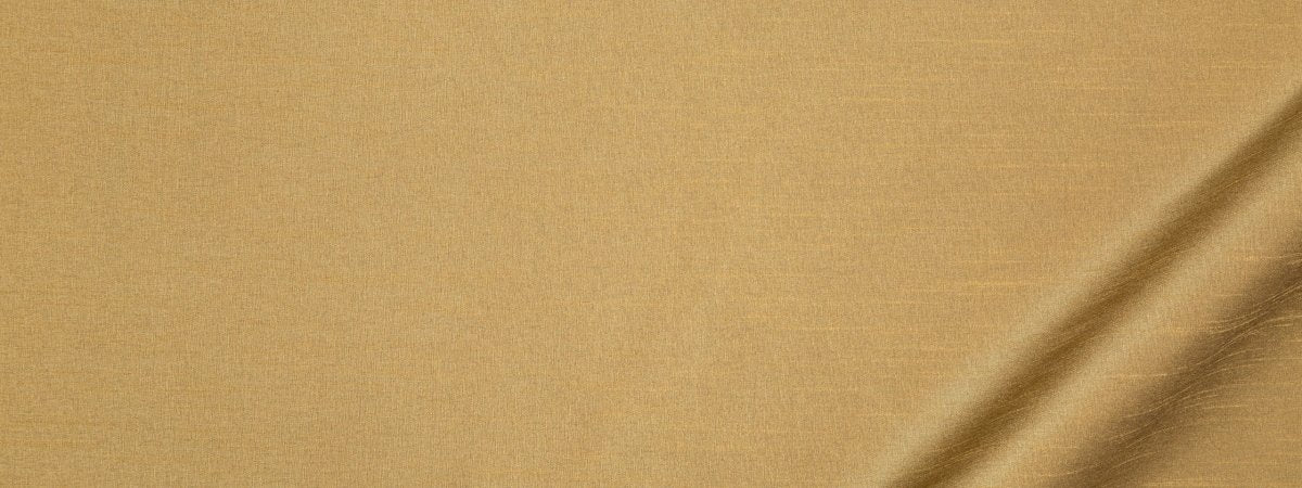 TRAMORE II | REED - Multi-purpose