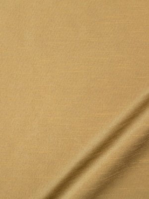 TRAMORE II | REED - Multi-purpose