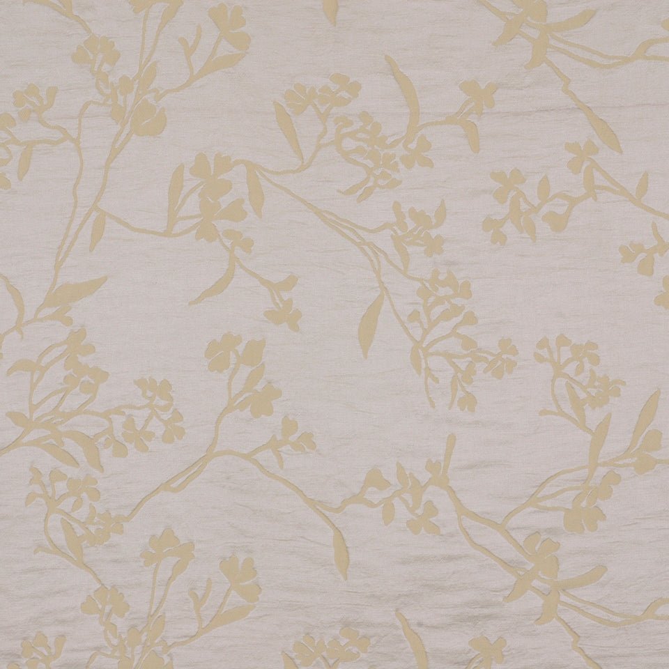 Thale Cress | Yellow Lotus - Multi-purpose