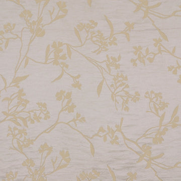 Thale Cress | Yellow Lotus - Multi-purpose