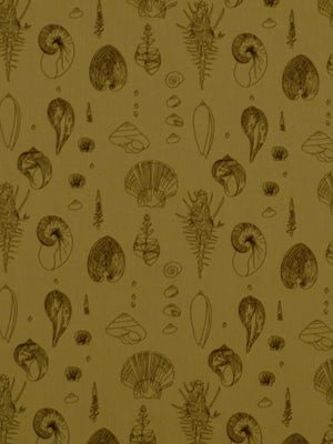 SEA URCHINS | TEAK - Upholstery - Fabric