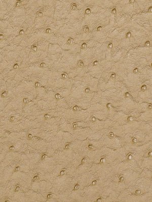 HARVEST MOON | PARCHMENT - Upholstery - Fabric