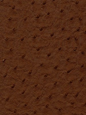 HARVEST MOON | TERRACOTTA - Upholstery - Fabric