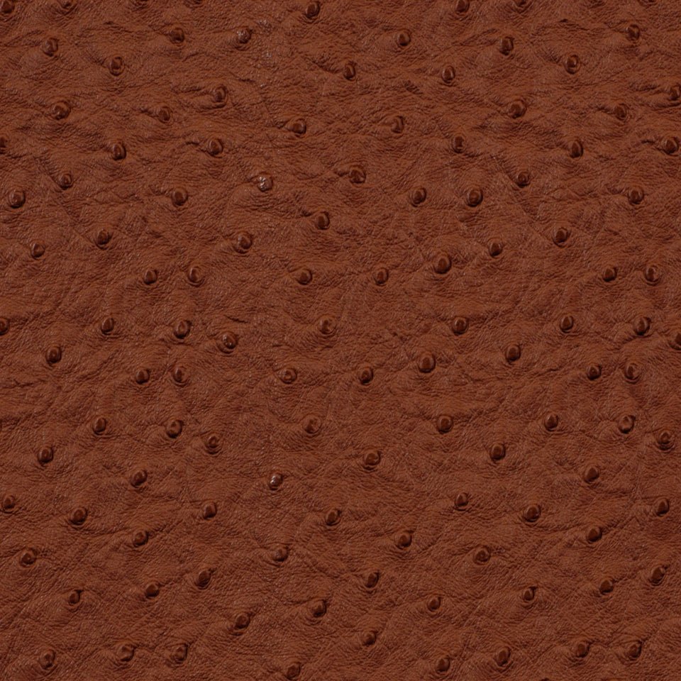 HARVEST MOON | TERRACOTTA - Upholstery - Fabric