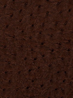 HARVEST MOON | RAISIN - Upholstery - Fabric