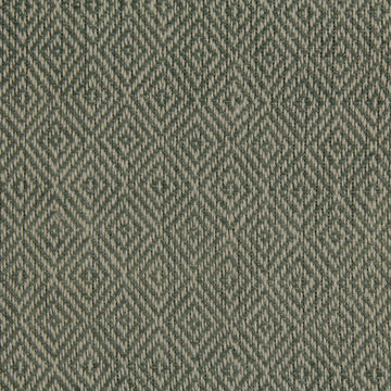 FREDERICKSON | TERRAIN