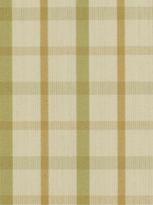 Party Plaid | Celadon - Multi-purpose