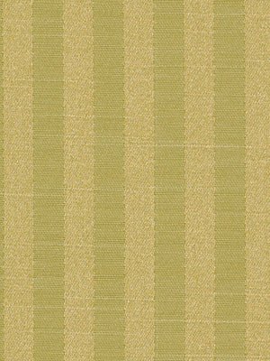 MANSFORD | CELERY - Multi-purpose