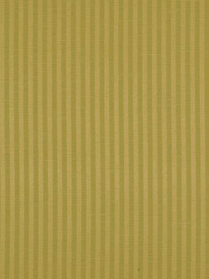 MANSFORD | CELERY - Multi-purpose