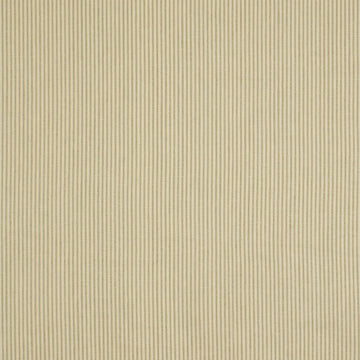 EMPIRE STRIPE | ASH - Upholstery - Fabric