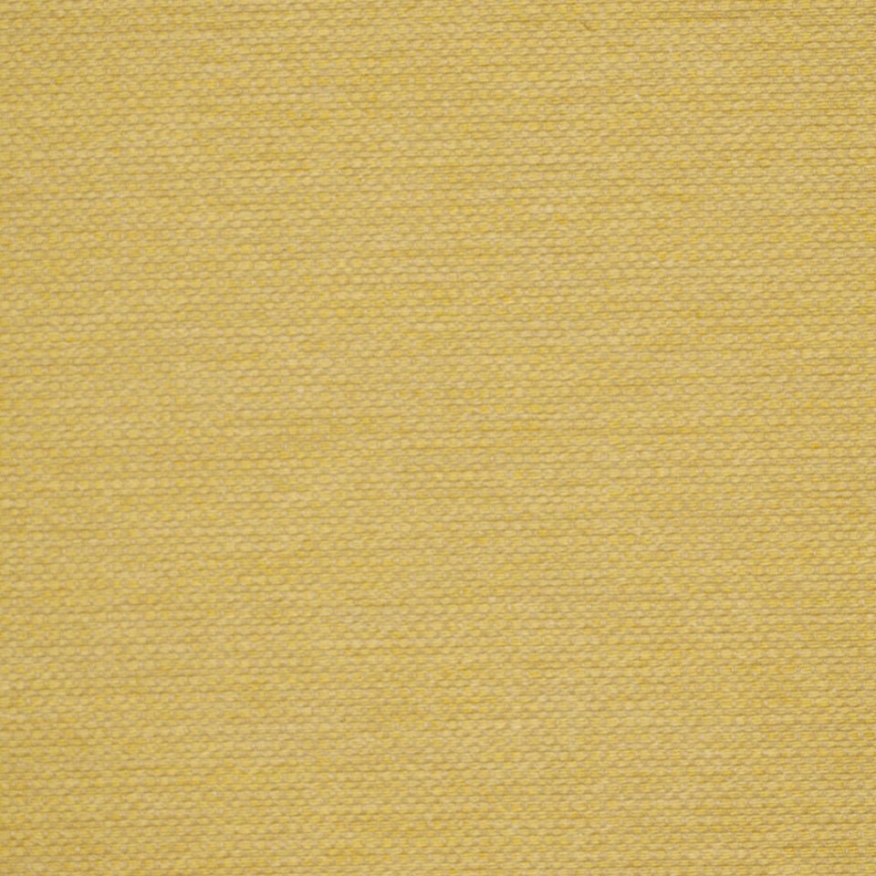 MY BUDDY | HONEYSUCKLE - Upholstery - Fabric