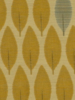 LINED UP | BUTTERNUT - Upholstery - Fabric