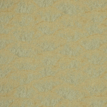 Champignon | Eucalyptus - Multi-purpose
