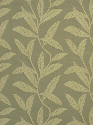 Break Line | Field - Multi-purpose