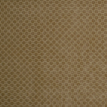 GAUDI | HONEY - Upholstery - Fabric