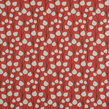 ZOO FLORA | CORAL