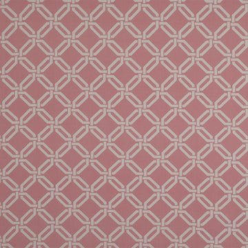 ROAD MAZE | CARNATION - Multi-purpose
