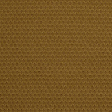 TAYLORMADE | GOLDENROD