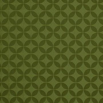 ASTERLING | EDAMAME - Upholstery - Fabric