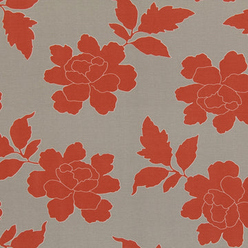 NEW PEONY | CORAL