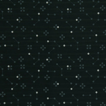 CONSTELLATION | INDIGO