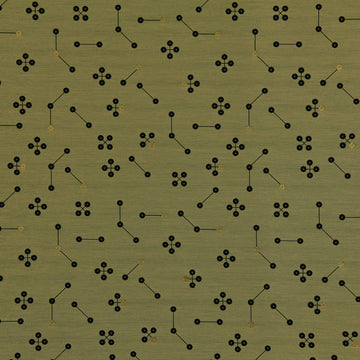 CONSTELLATION | CAMEL