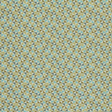 CREATIVE GEO | PEACOCK