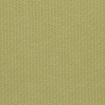 WAVE MAZE | LEMONGRASS - Upholstery - Fabric