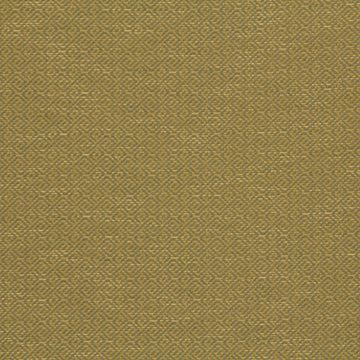 WAVE MAZE | CITRON - Upholstery - Fabric