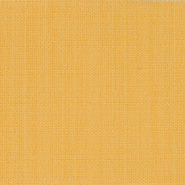 MODERN CANVAS | DAFFODIL