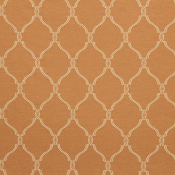 Clipped Frame | Melon - Drapery - Fabric