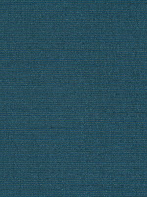 WINNING WAYS II | BLUE JAY - Multi-purpose