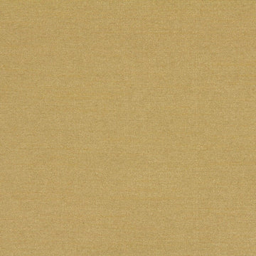 TRAMORE II | CITRUS - Multi-purpose