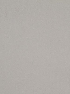 CASHMERE SOLID | SILVER - Multi-purpose