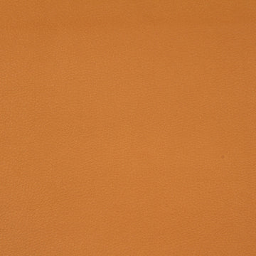 SPLASH | MARIGOLD