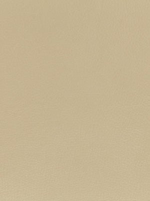 SPLASH | BUFF - Upholstery - Fabric