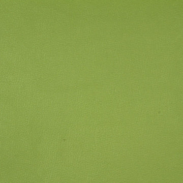 SPLASH | KEY LIME - Upholstery - Fabric