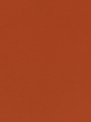 SPLASH | NECTARINE - Upholstery - Fabric