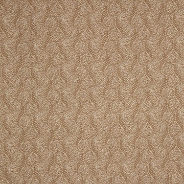 CURVY LEAF | BARLEY - Multi-purpose
