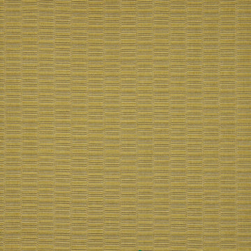 Its Electric | Zest - Upholstery - Fabric