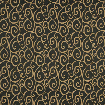CURVY | GUINNESS - Multi-purpose