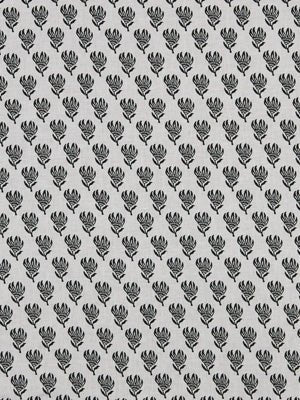 LIGHTEN UP | EBONY - Multi-purpose